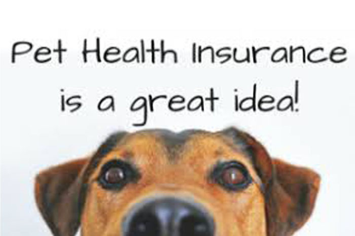 Protect Your Pet’s Health and Your Wallet: The Benefits of Pet Health Insurance