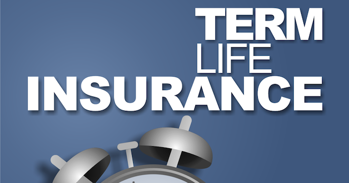 Advantages and Disadvantages of Term Life Insurance for Your Family’s Future