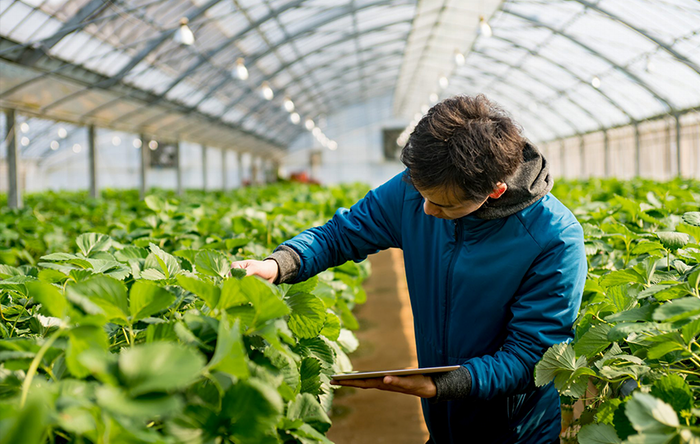 Actuarial Science and Agriculture: Risk management in the Farming Sector